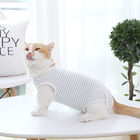 Casual Style Cats Wearing Clothes Blue / White Stripe Comfortable Fashionable supplier