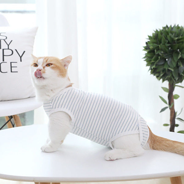 Casual Style Cats Wearing Clothes Blue / White Stripe Comfortable Fashionable supplier