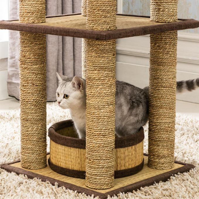 Indoor Comfy Cat Climbing Frame Exquisite Appearance OEM / ODM Available