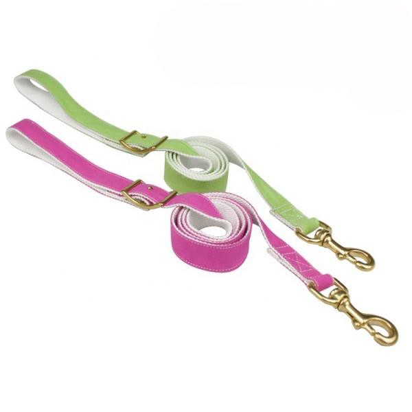 Colorful Dog Collars And Leashes / Dog Walking Leash Canvas Padded Material