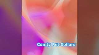 Custom Pet Collars Soft & Stylish