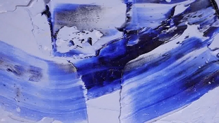 Cute Flower Pet Collar Custom Logo