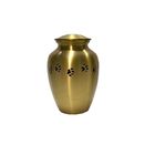 Modern Pet Urns Brass Color Professional Customized Size Any Logo Available supplier