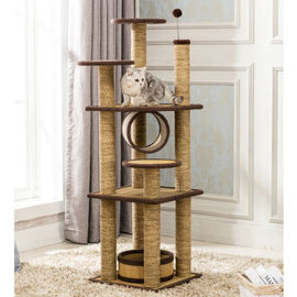 Indoor Comfy Cat Climbing Frame Exquisite Appearance OEM / ODM Available supplier