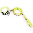 Cute Dog Collars And Leashes 600D Rainbow Oxford Material With Strong ABS Buckle supplier