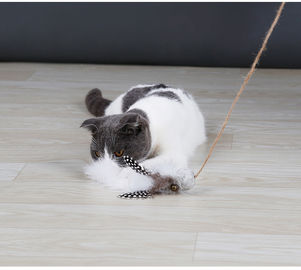 Funny Interactive Cat Toys With Stainless Steel Rod PP Plastic Chips supplier