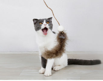 Funny Interactive Cat Toys With Stainless Steel Rod PP Plastic Chips supplier