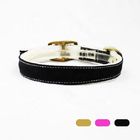 Adjustable Dog Collars And Leashes Waterproof Canvas / Cotton Material supplier