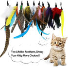 Retractable Cat Toy , Cat Feather Wand Toy With 1 Pole 7 Attachments Worm Birds Feathers supplier