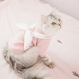 Customized Pattern Cat Wearing Sweater , Designer Cat Clothes Size XS - XXL supplier