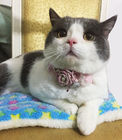 Sweet Custom Pet Collars / Flower Cat Collar Personalized Customized Logo supplier