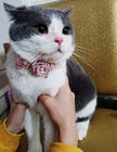 Sweet Custom Pet Collars / Flower Cat Collar Personalized Customized Logo supplier