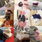 Winter Custom Dog Hoodies , Cold Proof Small Dog And Cat Clothes supplier