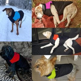 Waterproof Dog Coats , Warm Puppy Winter Clothes / Vest / Jacket supplier