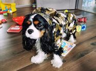 Reflective Puppy Small Dog Rain Coat , Soft Breathable Waterproof Dog Jacket supplier