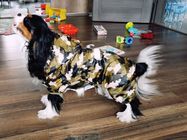 Reflective Puppy Small Dog Rain Coat , Soft Breathable Waterproof Dog Jacket supplier