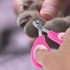 Pink Color Pet Nail Scissors , Pet Pedicure Nail Grinder Ergonomic Design supplier