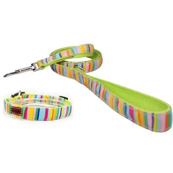 Cute Dog Collars And Leashes 600D Rainbow Oxford Material With Strong ABS Buckle supplier