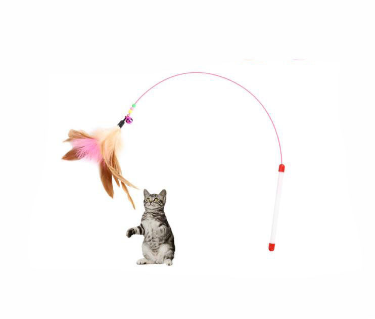 Safety Interactive Cat Toys Size Customized With Logo Printing Sample Available supplier