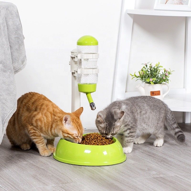 Detachable Automatic Pet Food Dispenser Customized Logo Plastic Material supplier