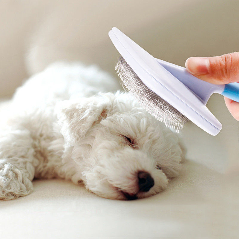 Anti - Rust Pet Hair Brush / Dog Dematting Tool Rotatable Waterproof Easy Clean supplier