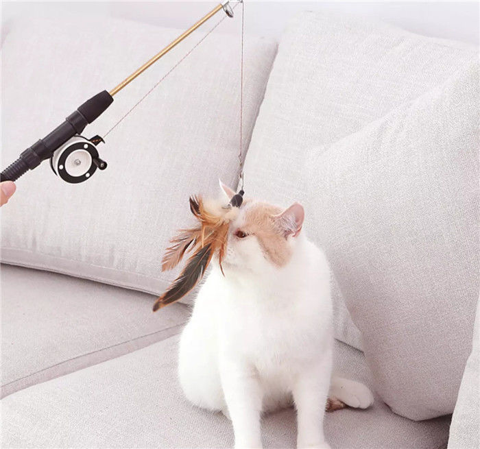 Retractable Feather Teaser Cat Toy Plastic Material For Pet Cat Play supplier