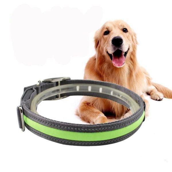 High Visibility Waterproof LED Dog Collar USB Rechargeable Lightweight supplier