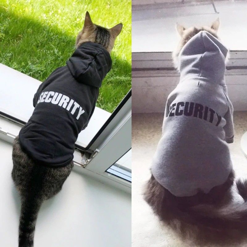 Eco Friendly Cute Cat Hoodie , Warm Pet Costumes For Small Dogs supplier