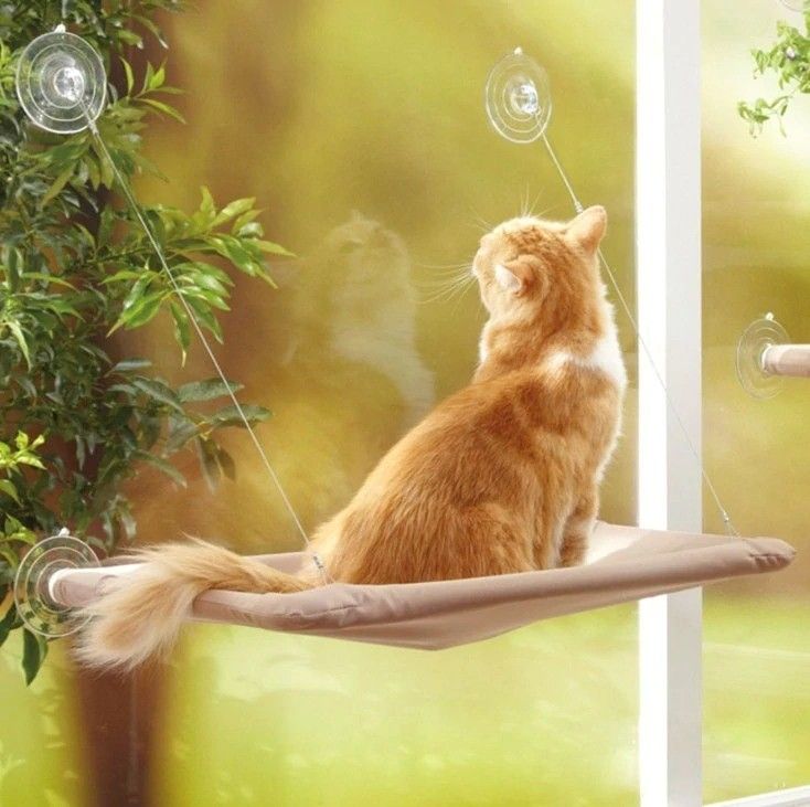 Cute Comfortable Hanging Pet Bed Bearing 20kg Window Mounted Cat Bed supplier