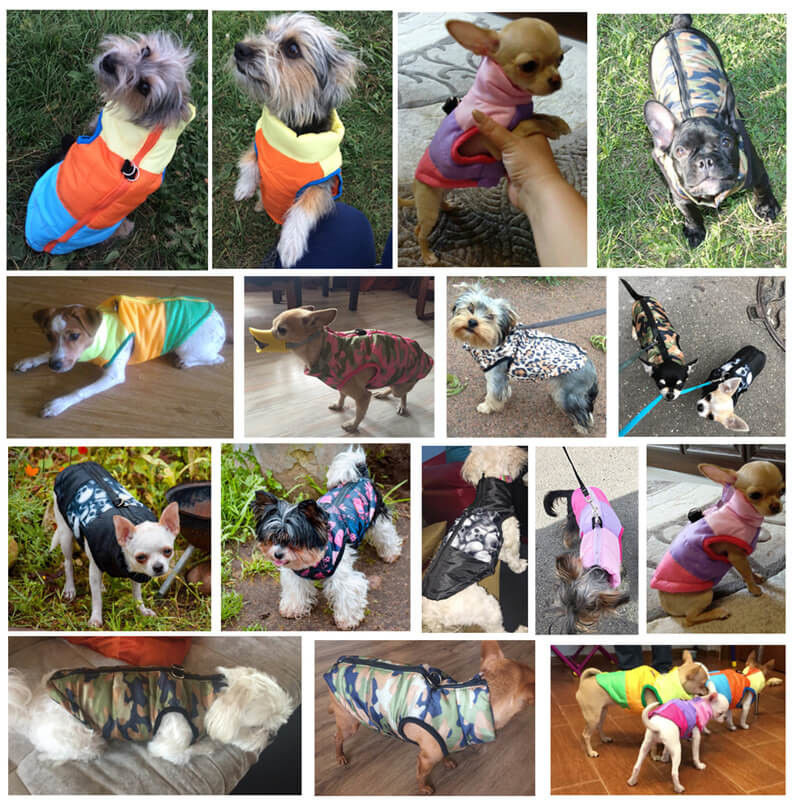 Windproof  Pet Clothes Warm Dog Winter Clothes Striped Pattern supplier