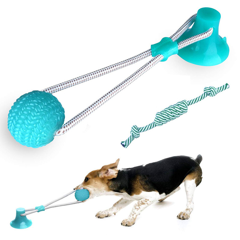 self play dog toys